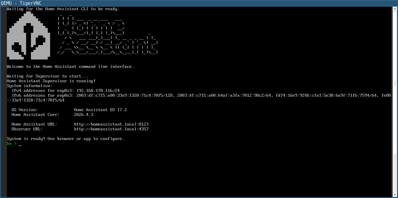 Home Assistant console